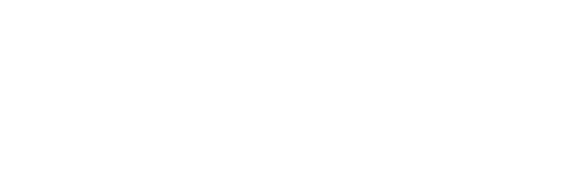 Marca da Meia Maratona do Marco Zero