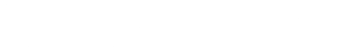 Logo Seja N1